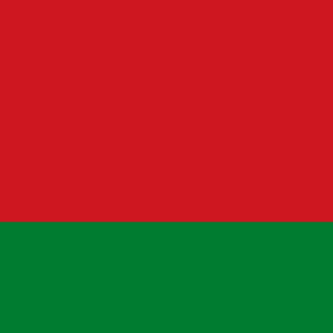 belarus flag 6