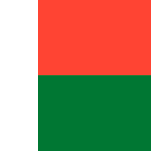 madagascar flag